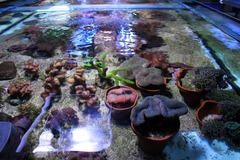 Killikus&reg; Fotographie